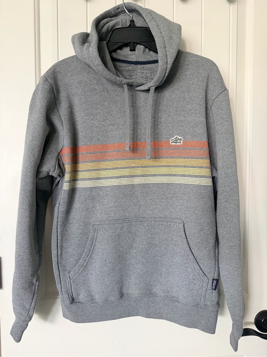Patagonia Other - Patagonia Line Logo Ridge Stripe Gray Pullover Hoodie Men’s M Organic Cotton